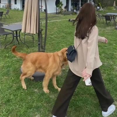 血色迷雾